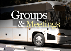 Groups & Meetings
